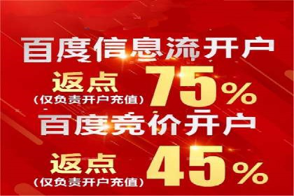 某电商平台的SEM服务全解析